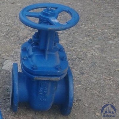 Клапан Ду 100 мм 13ТН2П купить в Уральске