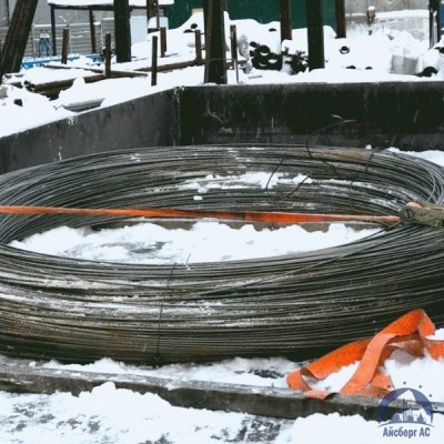 Проволока овальная 0,22х0,3-1-55 ГОСТ 3875-83 купить в Уральске