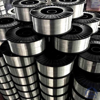Проволока титановая 1,6 мм 2В купить в Уральске