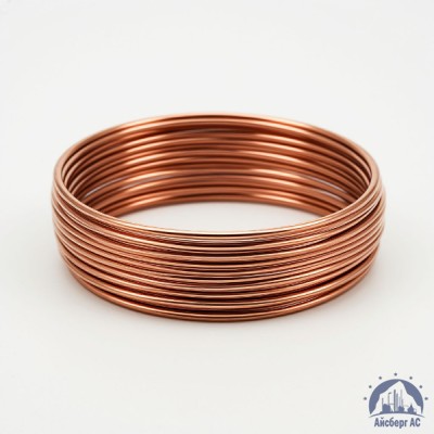 Проволока бронзовая 0.25 мм БрБ2 ГОСТ 15834-77 купить в Уральске