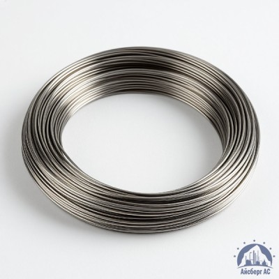 Проволока вольфрамовая 10,6 мкм ВМ купить в Уральске