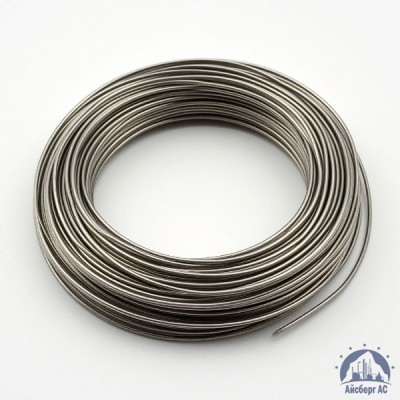 Проволока 0,03-Х20Н80-ВИ ГОСТ 8803-89 купить в Уральске