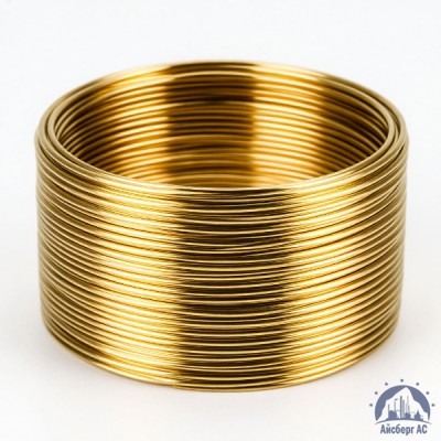 Проволока 1Л ГОСТ 26366-84 купить в Уральске