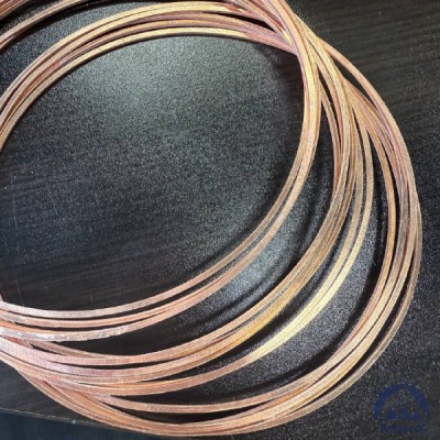 Прокладка медная уплотнительная 12х16-II s=1,5 ГОСТ 19752-84 купить в Уральске