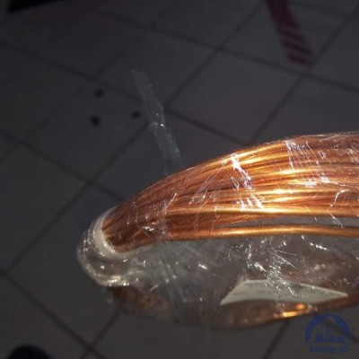 Труба М1 10х0,35 ТУ 48-0814-104-99 купить в Уральске