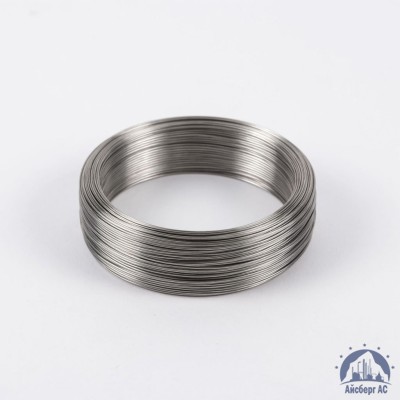 Проволока вязальная 0,3 мм ТН-С ГОСТ 3282-74 купить в Уральске