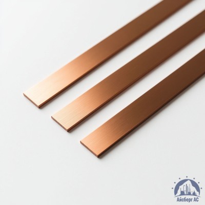 Полоса медная 100х10 мм ШМТ ГОСТ 434-78 купить в Уральске