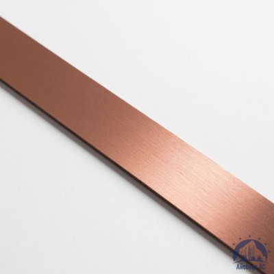 Полоса медная 100х12 мм М1Т ГОСТ 434-78 купить в Уральске