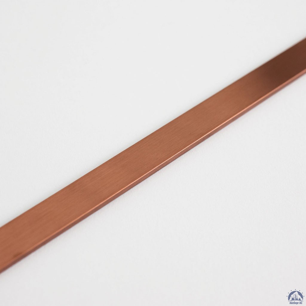 Полоса медная 100х12 мм ШМТ ГОСТ 434-78