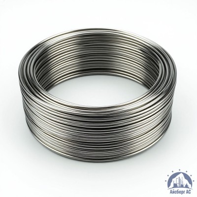 Проволока круглая 0,2-П-2-55 ГОСТ 3875-83 купить в Уральске