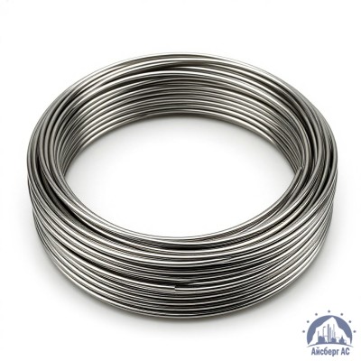 Проволока круглая 0,2-П-2-65Г ГОСТ 3875-83 купить в Уральске