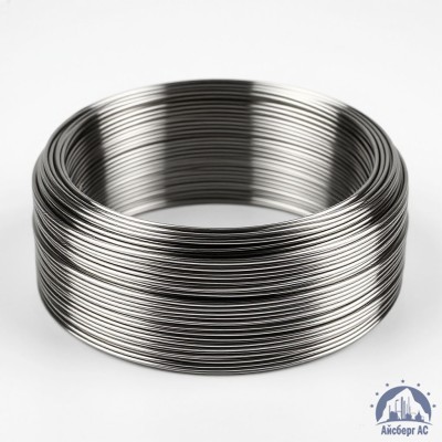 Проволока круглая 0,2-П-2-70 ГОСТ 3875-83 купить в Уральске