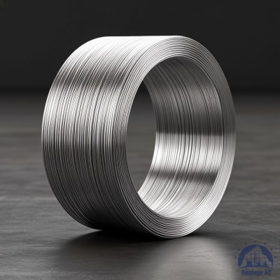 Алюминиевая сварочная проволока 1,8 мм СвАМГ6 купить в Уральске