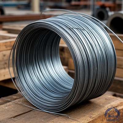 Проволока   1-1-25 ГОСТ 5663-79 купить в Уральске