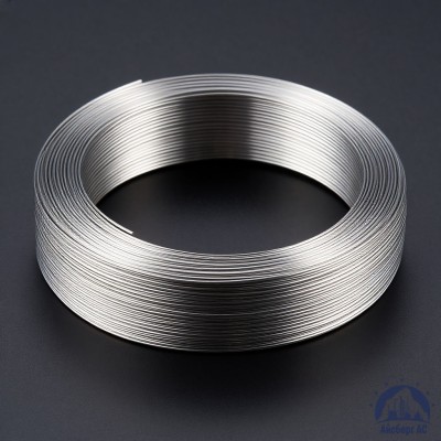 Проволока титановая 0,8 мм ВТ20-2СВ ГОСТ 27265-87 купить в Уральске