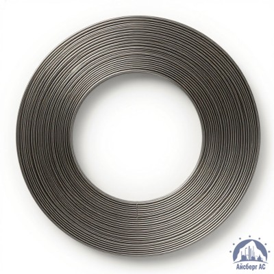 Проволока титановая 2 мм 7М купить в Уральске