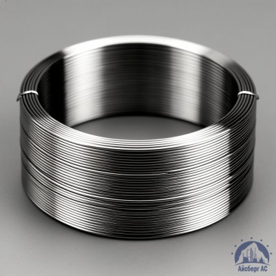 Проволока титановая 2 мм ВТ1-0 купить в Уральске