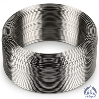 Проволока титановая 3 мм СПТ2 купить в Уральске