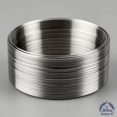 Проволока титановая 4 мм 2В купить в Уральске