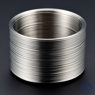 Проволока титановая 6 мм 2В купить в Уральске