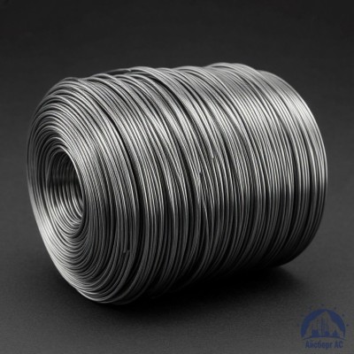 Проволока свинцовая 2 мм С1 купить в Уральске