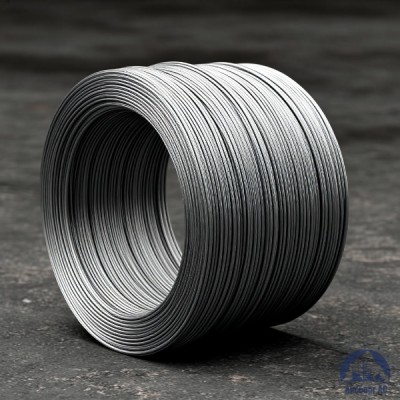 Проволока   1-П-1-20кп ГОСТ 5663-79 купить в Уральске