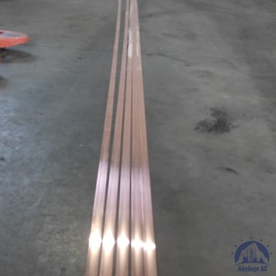 Полоса медная 100х8мм L=3-6м М1Т ГОСТ 434-78