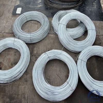 Проволока 0,3-Х15Н60 ГОСТ 8803-89 купить в Уральске