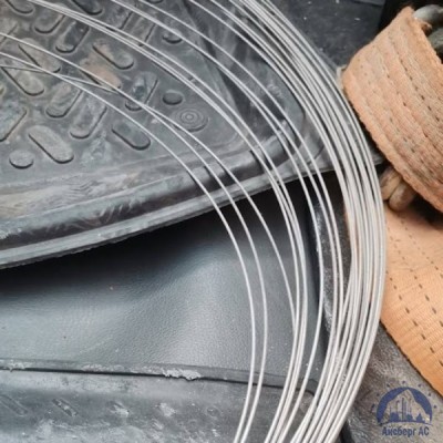 Проволока 0,3-Х20Н80-ВИ ГОСТ 8803-89 купить в Уральске