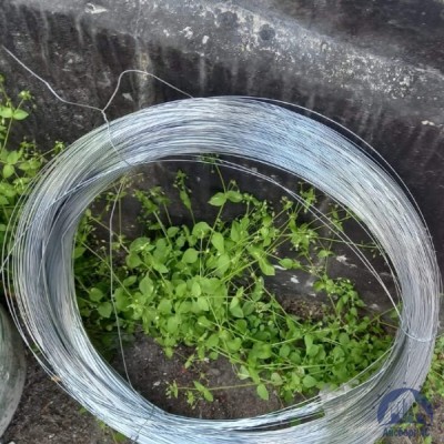 Проволока 0,34-Х20Н80-ВИ ГОСТ 8803-89 купить в Уральске